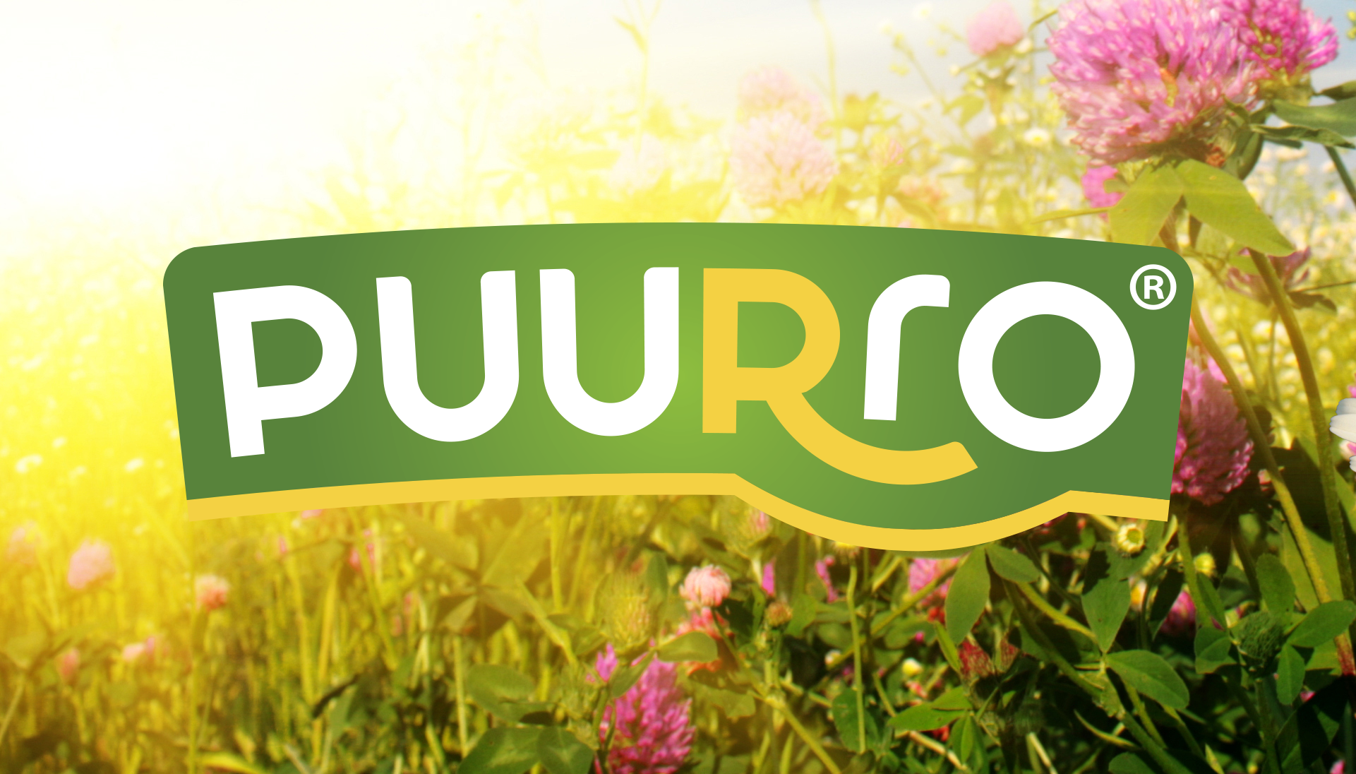 Logo ontwerp Puurro